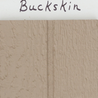 Paint-Buckskin