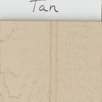 Paint-Tan